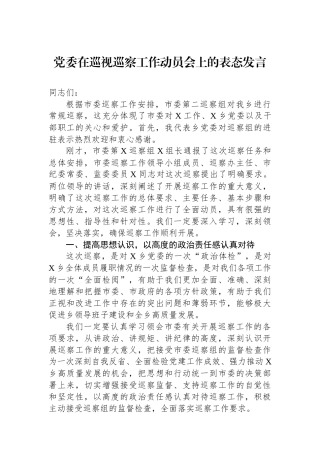 党委在巡视巡察工作动员会上的表态发言.docx