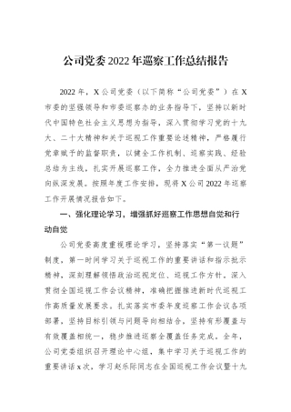 公司党委XX年巡察工作总结报告.docx