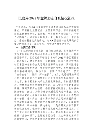 民政局XX年意识形态自查情况汇报.docx
