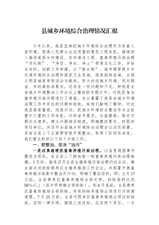 县城乡环境综合治理情况汇报.docx
