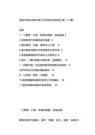 县级市政协系统年度工作经验交流发言汇编（11篇）.docx