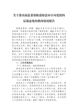 关于落实届县委第轮巡察县审计局党组的反馈意见的整改情况报告.docx