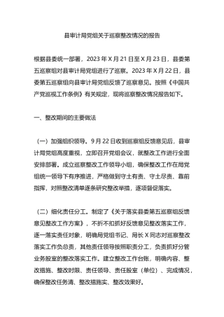 县审计局党组关于巡察整改情况的报告总结.docx