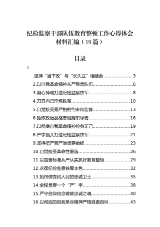 纪检监察干部队伍教育整顿工作心得体会材料汇编（19篇）.docx