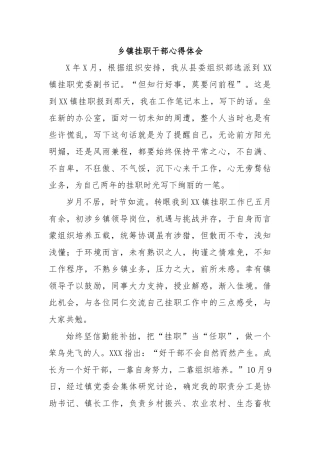 乡镇挂职干部心得体会.docx