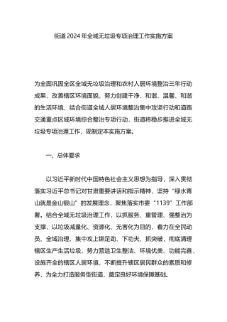 街道2024年全域无垃圾专项治理工作实施方案.docx