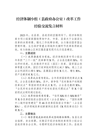 经济体制小组（县政府办公室）改革工作经验交流发言材料.docx