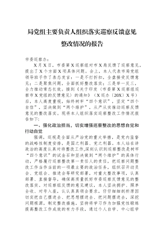 局党组主要负责人组织落实巡察反馈意见整改情况的报告.docx
