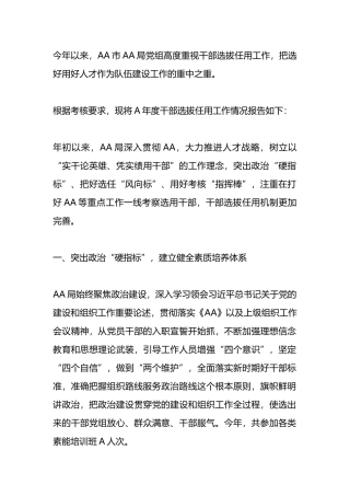 X年度干部选拔任用工作情况报告.docx