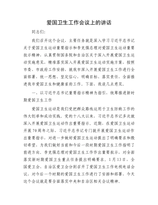 爱国卫生工作会议上的讲话.docx