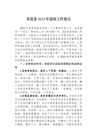 某党委2023年巡察工作要点.docx