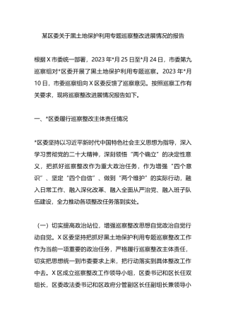 某区委关于黑土地保护利用专题巡察整改进展情况的报告总结.docx