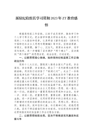 派驻纪检组长学习贯彻2023年主题教育感悟.docx