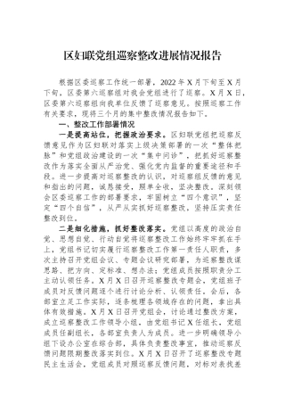 区妇联党组巡察整改进展情况报告.docx
