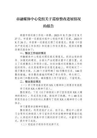 市融媒体中心党组关于巡察整改进展情况的报告.docx