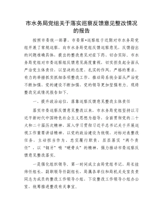 市水务局党组关于落实巡察反馈意见整改情况的报告.docx