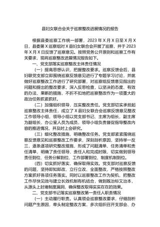 县妇女联合会关于巡察整改进展情况的报告总结.docx