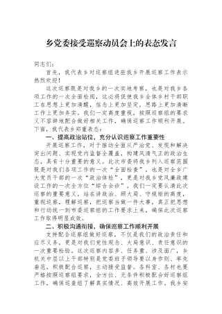乡党委接受巡察动员会上的表态发言.docx