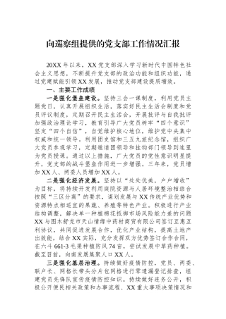 向巡察组提供的党支部工作情况汇报.docx