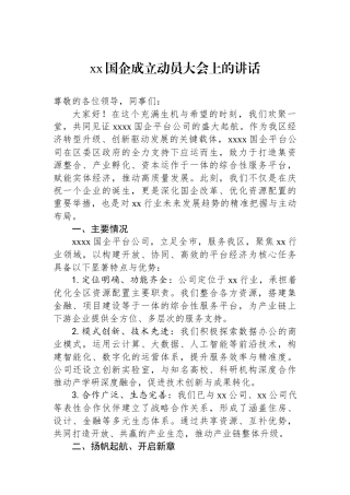 xx国企成立动员大会上的讲话.docx