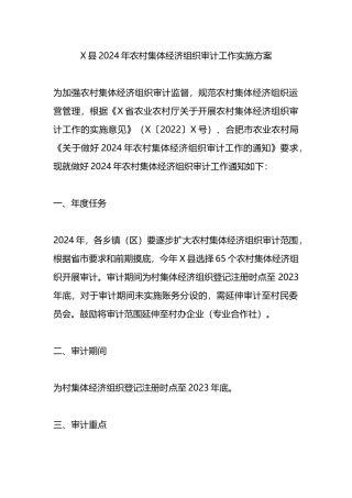 X县2024年农村集体经济组织审计工作实施方案.docx