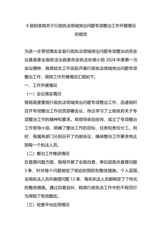 X县财政局关于行政执法领域突出问题专项整治工作开展情况的报告.docx