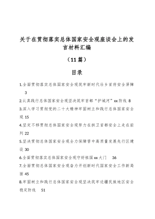 （11篇）关于在贯彻落实总体国家安全观座谈会上的发言材料汇编.docx