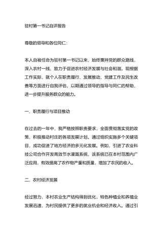 驻村第一书记自评报告.docx