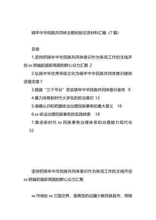 铸牢中华民族共同体主题经验交流材料汇编（7篇）.docx