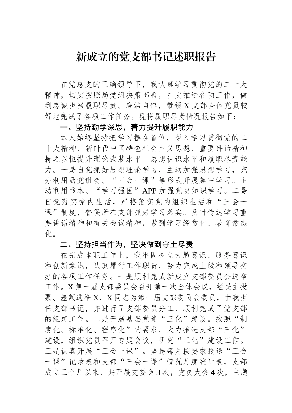 新成立的党支部书记述职报告.docx_第1页
