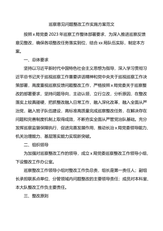巡察意见问题整改工作实施方案范文.docx