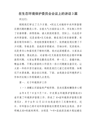 在生态环境保护委员会会议上的讲话3篇.docx