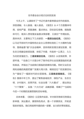 在市委全会分组讨论时的发言.docx