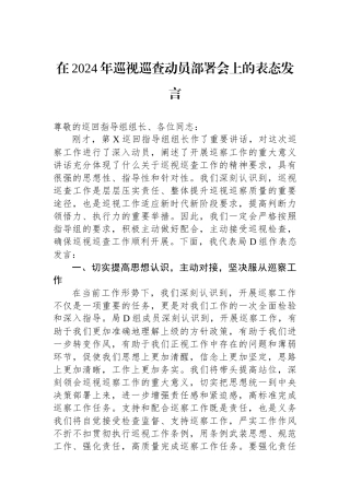 在2024年巡视巡查动员部署会上的表态发言.docx