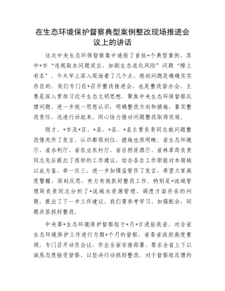 在生态环境保护督察典型案例整改现场推进会议上的讲话.docx