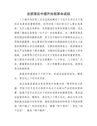 在抓落实中提升自我革命成效.docx