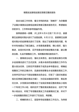 镇落实巡察组巡察反馈意见整改报告.docx