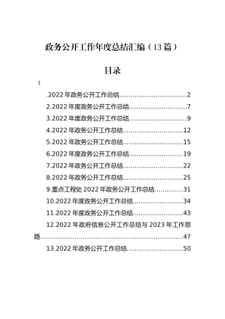 政务公开工作年度总结汇编（13篇）.docx