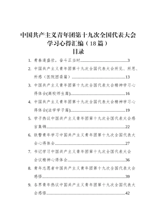 中国共产主义青年团第十九次全国代表大会学习心得汇编（18篇）.docx