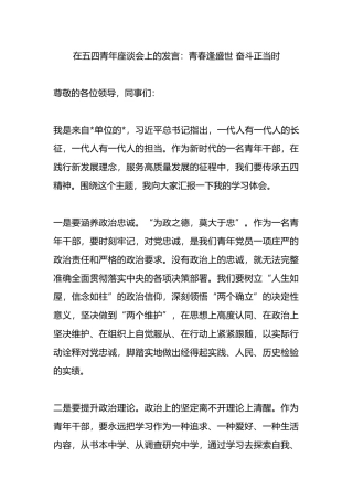 在五四青年座谈会上的发言：青春逢盛世 奋斗正当时.docx