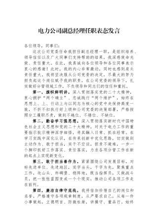 电力公司副总经理任职表态发言.docx