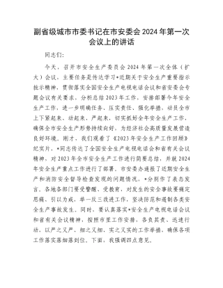 副省级城市市委书记在市安委会2024年第一次会议上的讲话.docx