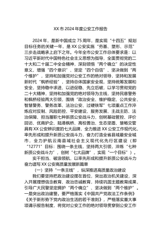 XX市2024年度公安工作报告.docx