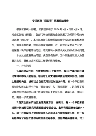 专项巡察“回头看”情况总结报告.docx