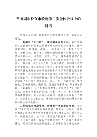 常务副市长在市政府第二次全体会议上的讲话.docx