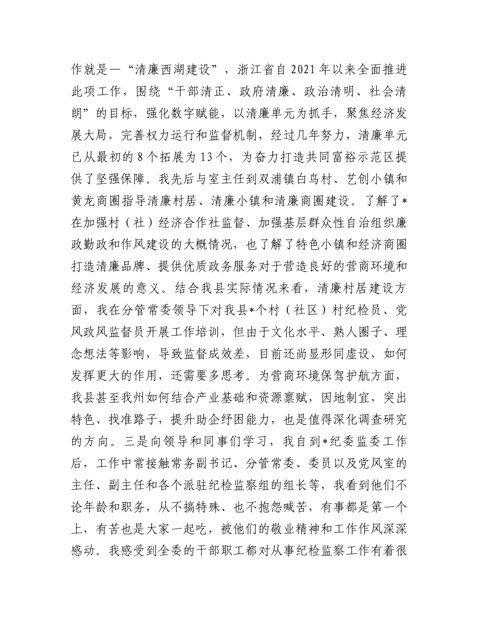 纪委监委党风政风监督室副主任挂职锻炼工作总结.docx_第2页
