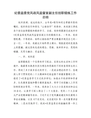 纪委监委党风政风监督室副主任挂职锻炼工作总结.docx