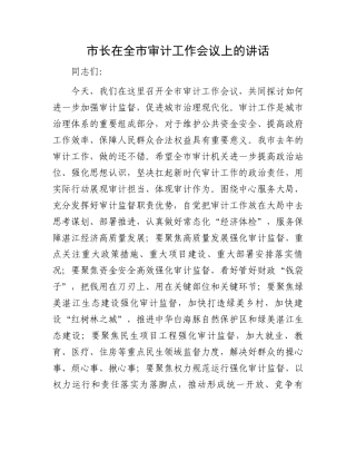 市长在全市审计工作会议上的讲话.docx