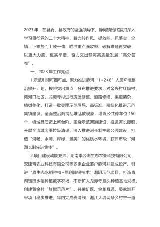 乡镇2024年工作重点（含工作亮点）.docx