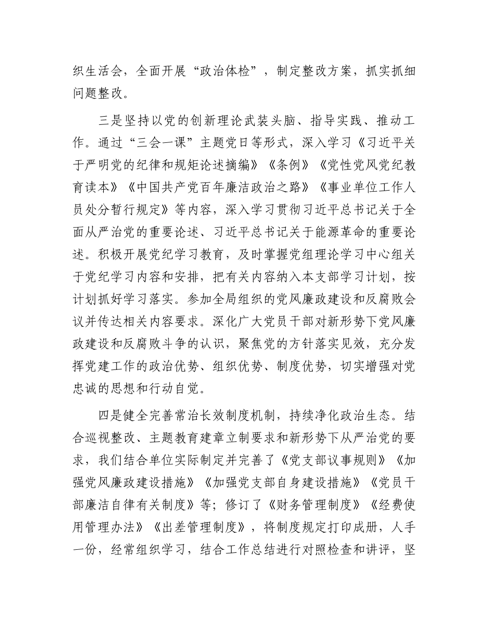 党支部关于纪检工作开展情况的汇报.docx_第3页